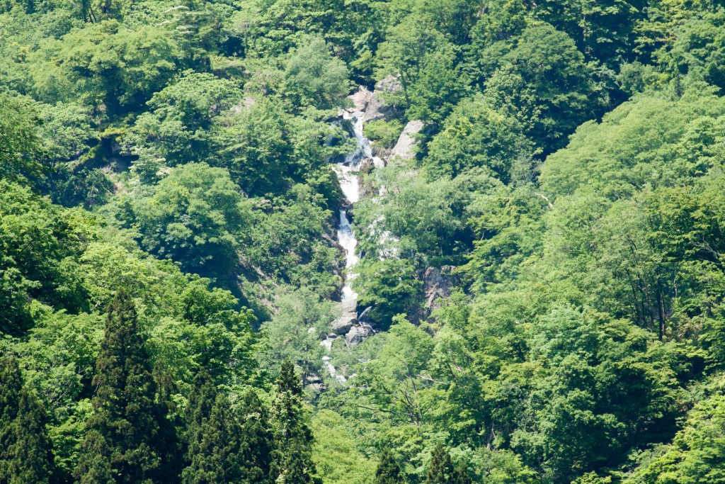 ヨシオ滝