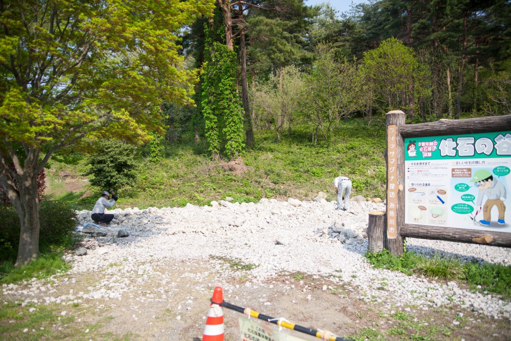 化石の谷 実際の様子