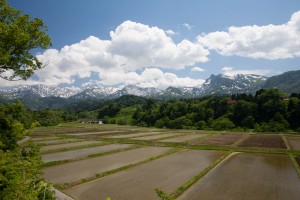 北山付近からの北アルプス