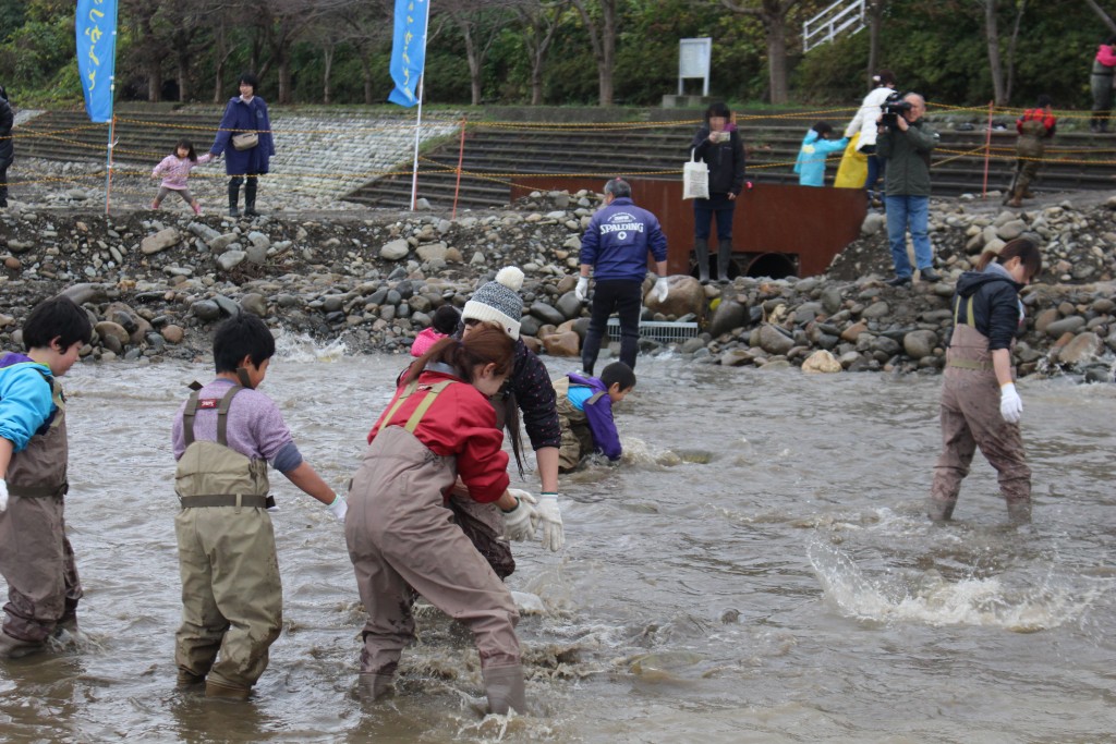 さけつかみどり大会