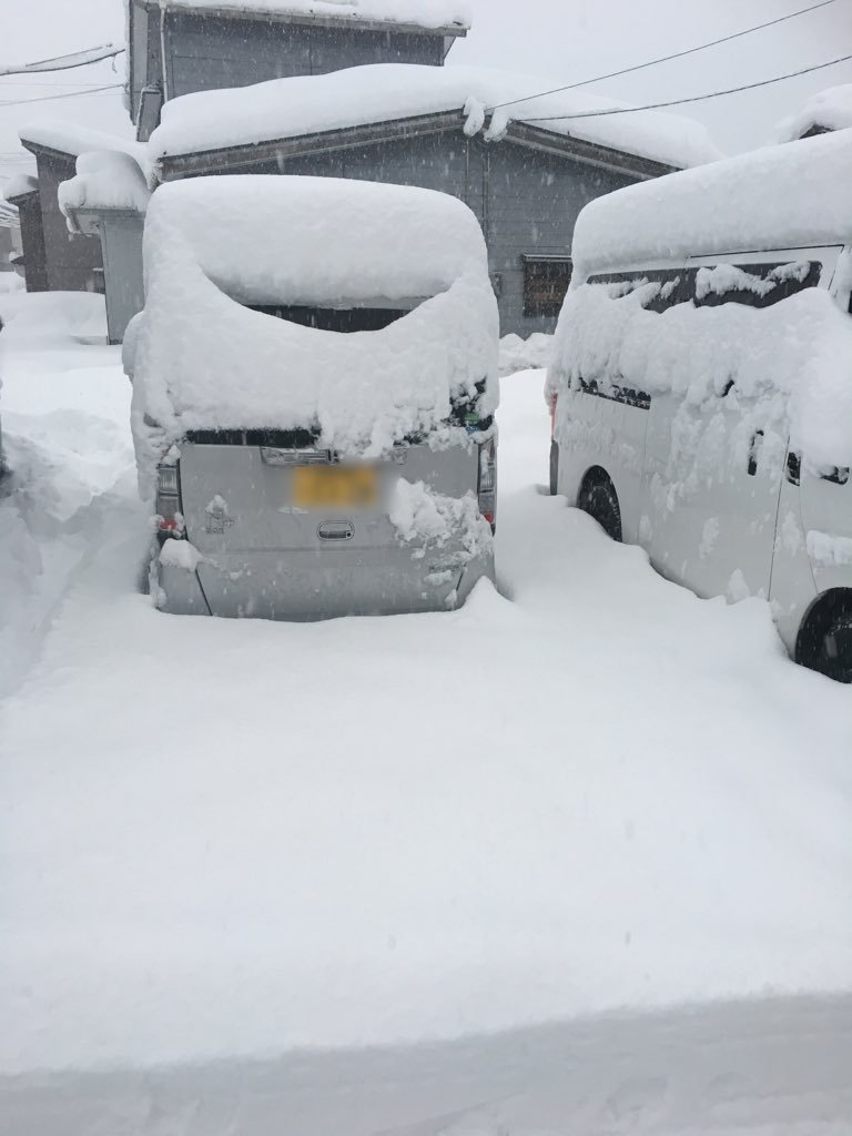 豪雪地帯ならではの光景
