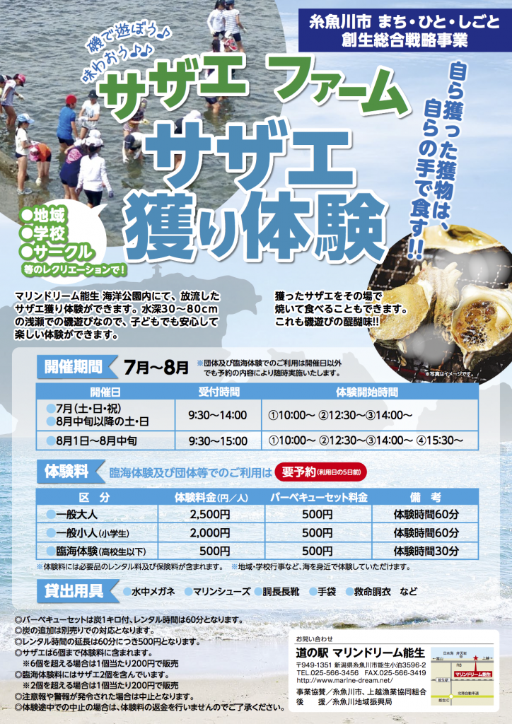 サザエファーム 「サザエ採り体験」