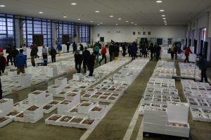 上越漁協　初競り