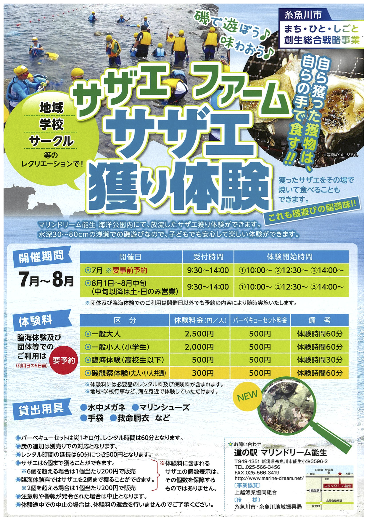 サザエファーム