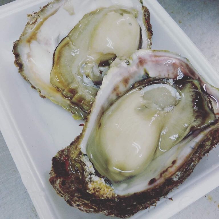 親不知産 天然 岩牡蠣【画像提供:伝兵水産】